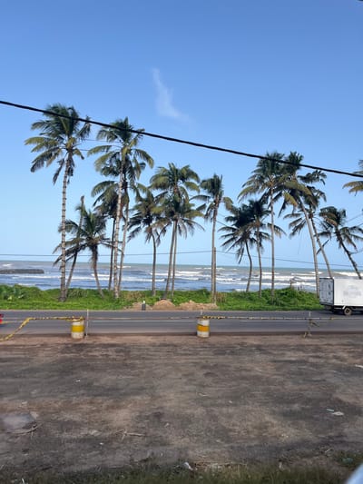 The image depicts a coastal scene in Maggona, Sri Lanka, with a row of palm trees lining a road that runs parallel to the ocean. The sky is clear and blue, with a few wisps of clouds. The ocean is calm with gentle waves breaking on the shore. A road is visible in the foreground, with yellow and black caution tape stretched across it, supported by yellow and white barrels. A white truck is parked on the right side of the road. The ground in the immediate foreground is uneven and appears to be dirt or gravel, with some sparse vegetation. Overhead power lines run across the top of the frame. The overall impression is one of a tropical, seaside location.