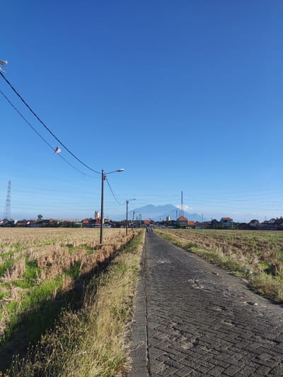 A paved road extends into the distance, bordered by dry agricultural fields on either side. A clear blue sky dominates the upper portion of the image. In the foreground, power lines stretch across the frame, supported by utility poles. A kite is visible on one of the power lines. In the background, a cluster of houses with red tile roofs forms a village, with a mosque's minaret and several tall transmission towers also present. Distant mountains are visible on the horizon. The scene appears to be in a rural area of Sukorejo, Indonesia, likely during a dry season given the appearance of the fields.