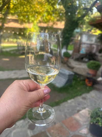 A close-up image depicts a fair-skinned hand, exhibiting manicured nails with light pink polish, holding the stem of a clear wine glass. The glass is approximately half-filled with a light yellow liquid, consistent with white wine, showing reflections of the surrounding environment. The background, largely out of focus, reveals an outdoor garden or patio setting in Tsinandali, Georgia. Visible elements include lush green and yellow-green foliage from trees overhead, a building with a terracotta-tiled roof in the upper left, and a paved stone or brick ground surface. Further in the blurred background, terracotta pots containing green plants, a rustic structure, and a subtle string of lights are discernible. A dark orange, possibly carved pumpkin decoration is visible in the lower-right background, suggesting an autumn season.