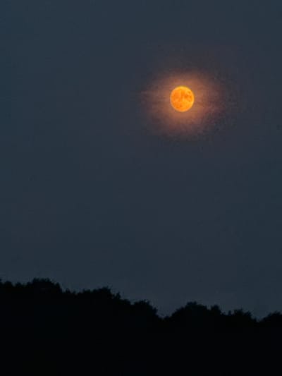 An orange full moon is visible in the dark sky above a silhouetted tree line. The image was captured in Putten, Netherlands.
