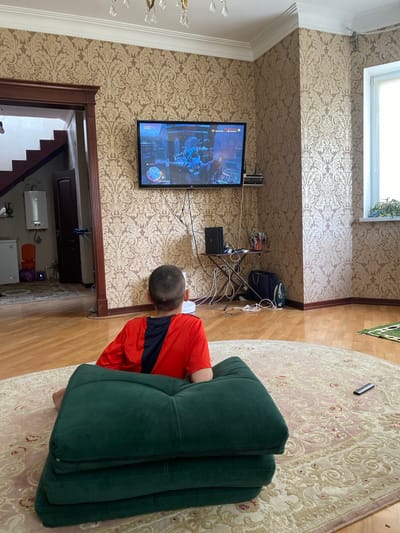 A young boy wearing a red and black t-shirt is sitting on a dark green floor cushion, facing a television that is displaying a video game. The boy's back is to the camera, and his head is slightly turned to the left. He appears to be engaged with the game.
The television is mounted on a patterned wallpapered wall. To the left of the television, a dark doorway leads to a staircase. To the right of the television, a window with white blinds is visible. In the foreground, the boy is on a large, circular rug with a floral pattern. A black remote control is on the rug near the boy.
The room appears to be a living area, with wooden flooring and ornate wallpaper. The overall impression is of a comfortable, domestic setting where a child is spending leisure time playing video games. The specific location is identified as Bogatyryovka, Russia.