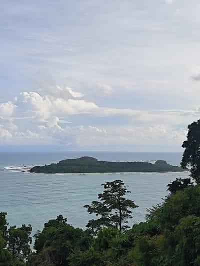 This is a scenic, high-angle, landscape photograph taken from a vantage point overlooking a body of water with a distant island. The foreground is dominated by lush green foliage and trees, suggesting a natural, undeveloped setting. The middle ground features a calm, blue-green ocean with gentle waves creating white lines near the shore of a verdant, tree-covered island. The island appears to be of moderate size, with a rounded, elevated silhouette. In the background, the sky is partly cloudy with large, puffy white clouds against a pale blue expanse. The scene evokes a sense of tranquility and natural beauty, typical of a tropical coastal environment. The specific location in Meudheun, Indonesia, is not discernible from the visual information in the photograph itself. There are no people or specific objects or actions depicted.