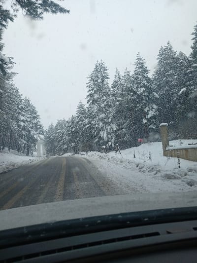 The image displays a snowy road scene in Surami, Georgia, captured from the interior perspective of a vehicle through a windshield speckled with falling snow. The sky is overcast and grey, with heavy snowfall actively occurring. A two-lane asphalt road, marked with double yellow lines, is partially covered in slush and packed snow, receding into the distance. Dense coniferous trees, heavily laden with snow, line both sides of the roadway. On the right side, a snow-covered concrete or stone pillar is visible adjacent to the road, with accumulated snow at its base. Further along the right, a small red rectangular sign is partially visible amidst the snow-covered ground. On the left side, a tall white architectural structure, possibly an archway or monument, is partially visible in the distance through the snow-dusted trees. The foreground reveals the dark dashboard and defroster vents of the vehicle. No individuals, vehicles, or animals are visible in the scene.
