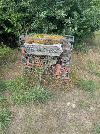A top-down, wide shot captures a bee hotel situated outdoors amidst a natural setting. The bee hotel, constructed with a wire mesh cage, is filled with various natural materials such as logs with drilled holes, bricks with openings, and possibly stones and twigs. A weathered wooden sign with "AIR BEE BEE" hand-painted in black is attached to the front of the structure.
The bee hotel is positioned next to a dense, green bush or tree on the left, with its leaves appearing lush and healthy. The ground surrounding the bee hotel is covered with a mix of dry, yellowish-brown grass and patches of greener, taller grass. The overall impression is one of a garden or natural habitat, likely in the Borough of Swale, United Kingdom, given the provided context. The lighting suggests it's daytime, and the weather appears fair, with no strong shadows indicating harsh sun. The scene evokes a sense of nature and wildlife conservation, with the bee hotel serving as a habitat for beneficial insects. There are no people visible in the frame, and the focus is entirely on the natural environment and the man-made bee hotel.