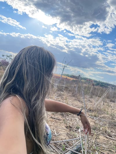 This image depicts a female individual, viewed from the left-rear perspective, positioned outdoors in what appears to be an undeveloped area within Pirenópolis, Brazil. The individual has long, wavy hair, multi-toned with light brown and blonde streaks. She is wearing a patterned garment, consistent with a bikini top, visible on her left side. Her left arm is bent at the elbow, with her hand resting lightly on dry, light brown vegetation in the foreground. A black bracelet with two white spherical beads is present on her left wrist, and her fingernails are painted a light, neutral color.
The environment comprises dry, sparse vegetation in the immediate foreground and mid-ground, characterized by light brown, brittle stalks. Beyond this, a reddish-brown dirt slope is visible, leading to a band of green foliage in the distance. A faint structure with a reddish roof is discernible on the distant hillside. A utility pole with power lines is present in the left-midground. The sky above is bright blue with scattered white cumulus clouds, and the sun is prominent in the upper-left quadrant, casting strong illumination and creating a sunburst effect. The individual is oriented towards the distant landscape.