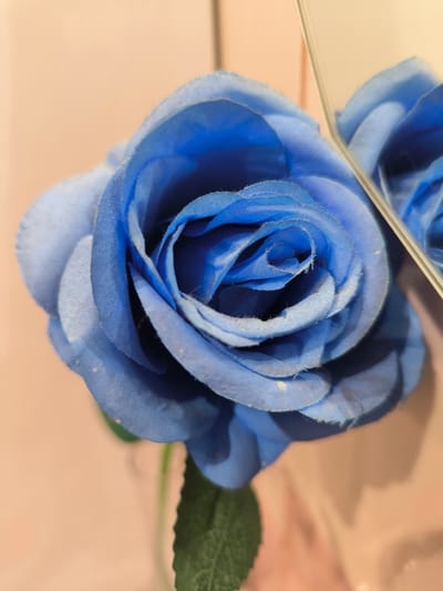 This is a close-up, vertical, eye-level shot of a vibrant blue artificial rose. The rose is the primary subject, with its petals unfurling in a spiral. The texture of the fabric petals is visible, with some subtle dust or imperfections on their surface. To the right of the rose, a mirror reflects a portion of the flower and the background. The background itself is a soft, light peachy-pink color, creating a gentle contrast with the bold blue of the rose. A hint of a green leaf and stem is visible at the bottom left of the frame, suggesting the rose is part of a larger arrangement or bouquet. The lighting appears to be soft and diffused, casting subtle shadows that add depth to the image. There is no visible text in the image. The scene is simple and focused on the beauty and texture of the artificial flower, with the reflection in the mirror adding a subtle visual element. Given the context of Staraya Kupavna, Russia, this could be an image of decorative item within a home or a shop.