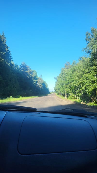 The image captures a view from inside a car driving on a paved road lined with dense green trees on both sides. The sky is a clear, vibrant blue. The road itself appears to be in moderate condition with some visible cracks and unevenness. Sunlight casts shadows on the road, indicating it is daytime. The foreground of the image shows the dark interior of the car, including the dashboard and windshield wipers. The scenery suggests a rural or semi-rural location. Based on the information provided, this scene is located in the city of Плодовое, Russia.