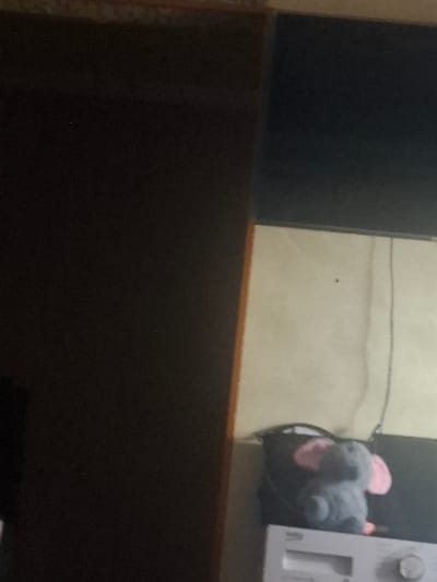 The image shows two plush elephant toys, one gray and one pink, on a shelf or counter. The gray elephant is larger and positioned in front of the pink one. The background is a plain, light-colored wall with a thin dark line running horizontally across it. To the left of the elephants, a dark, rectangular object, possibly a television or monitor, is visible. To the right, part of a white appliance, possibly a microwave or a computer tower, can be seen. The overall setting appears to be indoors, in a dimly lit room. There is no discernible activity or event taking place. The image is blurry, making it difficult to identify specific details or textures. There is no visible text.
