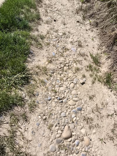 The image depicts a dirt path in a rural or semi-rural environment. The path is composed of compacted dirt, gravel, and small rocks. Vegetation, primarily green grass, grows along the left edge of the path. Sparse, dry vegetation is present on the right side. The scene is well-lit, suggesting daylight conditions. The exact location within Chaponnay, France cannot be determined from the image alone. No people or animals are visible.