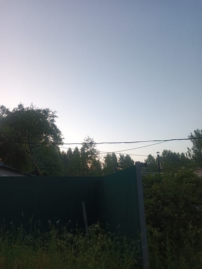 A wide shot captures a dusk sky over Poshekhonye, Russia, casting a soft gradient from pale yellow to light blue. In the foreground, a dark green corrugated metal fence runs horizontally across the frame, partially obscuring a lush green wooded area behind it. Above the fence, the tops of trees and foliage are visible, interspersed with a few telephone wires stretched tautly across the sky. The overall scene is tranquil, with no human presence or discernible activity.