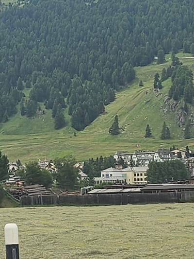This is an aerial, slightly angled, medium shot of a mountainous, rural landscape in Celerina/Schlarigna, Switzerland. The scene is dominated by a steep, densely wooded slope on the left, leading up to rocky outcrops. A grassy slope cuts diagonally across the frame, separating the forest from a village and a field on the right. The village consists of several buildings, some with light-colored facades and dark roofs, clustered together. A field of tall, dry grass fills the right side of the image. A dark, linear structure, possibly a railway track or a raised path with wooden barriers, runs along the edge of the village and field. A white and black object, resembling a remote control or a camera accessory, is visible in the lower right corner, partially obscuring the field. The lighting suggests it is daytime, and the weather appears to be clear. There are no visible people. The image is oriented vertically, suggesting it may have been taken from a drone or a high vantage point, and has been rotated.