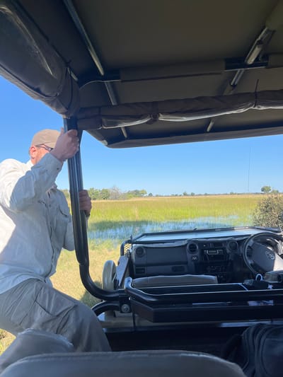 The image, taken from within an open-top safari vehicle, shows a partially flooded landscape under a bright blue sky, likely in the vicinity of Kakoro, Botswana. Tall grasses are partially submerged in water. A man in a light-colored shirt, khaki pants, and a tan cap is visible holding onto a safety bar above. The vehicle's dashboard and steering wheel are visible, indicating a Toyota Land Cruiser. The focus is on the intersection of human activity and the natural environment.
