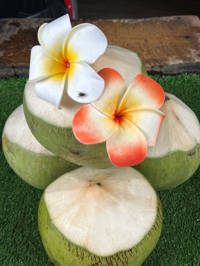 In Tambon Krasom, Thailand, a close-up shot captures a natural arrangement of four young coconuts on a green artificial turf surface. Two of the coconuts are prominently displayed, each topped with a plumeria flower. The flower on the left is white with a yellow center and has a small insect on one of its petals. The flower on the right exhibits a gradient of white to orange and red at its tips. The tops of all four coconuts have been sliced off, revealing their white flesh. In the background, a rustic wooden surface is visible, its texture suggesting it might be a chopping board or counter. The lighting is natural and diffused, highlighting the freshness of the coconuts and the delicate beauty of the flowers. There are no people present in the image.