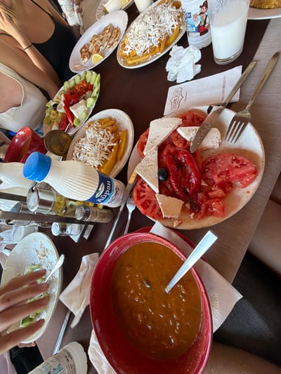 The image displays a detailed overhead view of a dining table at Viki Restaurant in Petrevene, Bulgaria, as indicated by text on a visible napkin ("ВИККИ ресторант с. Петревене" and a phone number "+359 899 967 171"). At least three individuals are present, with parts of their bodies, arms, and hands visible around the brown table.
The table is densely covered with multiple dishes and beverages. Specific food items include:
* An oval white plate positioned at the top-center, holding several pieces of grilled chicken fillets and a lemon wedge.
* An oval white plate at the top-right, filled with french fries generously covered with shredded white cheese.
* A round white plate at the center-right, containing sliced red tomatoes, chunks of white cheese, a roasted red pepper, and a single black olive. This plate shows signs of consumption, with a knife and fork resting on it.
* A large red bowl at the bottom-center, filled with a thick, reddish-brown soup or stew, likely lentil or bean-based, with a silver spoon immersed.
* A partially consumed white plate at the bottom-left, containing remnants of green slices, possibly cucumber, with a hand reaching towards it.
* An oval white plate at the center-left, featuring a mixed salad or appetizer composed of sliced cucumbers, red bell pepper pieces, cheese, olives, and a hard-boiled egg half.
Beverages on the table include:
* A clear glass containing a white liquid, likely milk or Ayran, located top-right.
* A plastic bottle with a label featuring a cartoon and Cyrillic text "БОРЯН" (Boryan), containing clear water.
* A white plastic bottle with a blue cap and "Айран" (Ayran) written in Cyrillic, containing a white dairy drink.
Other objects visible are multiple silver forks, knives, and spoons, several crumpled and folded white paper napkins, a metal condiment rack holding three transparent shakers (likely for salt, pepper, and oil), and a small golden-colored circular tin labeled "CHATEAU YARNOVAT". The table surface is brown. Visible attire includes a black spaghetti strap top and a white spaghetti strap top worn by two of the diners. The scene captures an active mealtime.