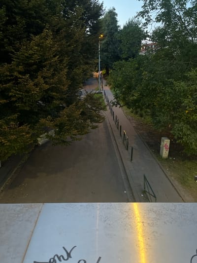 The image provides an elevated, downward-looking perspective of a paved road and a parallel pedestrian pathway within Sint-Pieters-Leeuw, Belgium. The time of day appears to be dusk or dawn, with a pale blue-gray sky visible at the top and artificial illumination from a streetlamp.
In the immediate foreground, a metallic surface, likely a railing or ledge, is visible, exhibiting surface imperfections and dark graffiti, with the partial word "ont" being discernible. A bright yellow light reflection is present on this metallic surface.
Below the foreground element, a dark asphalt road extends into the distance, appearing damp in areas. To the right of the road, a lighter-toned paved pedestrian path runs parallel. A series of black bollards and short, dark-colored metal barriers, some triangular in shape, delineate the separation between the road and the pedestrian path.
Dense green foliage and mature trees flank both sides of the thoroughfare, extending throughout the scene. On the right side, between the pedestrian path and the treeline, an area of sparse grass and undergrowth is present. A light-colored, rectangular concrete utility box or block, marked with red graffiti, stands adjacent to the pedestrian path on the right.
Further along the road, a tall streetlamp with an illuminated yellow light is positioned on the left side. A single, indistinct human figure, rendered as a dark silhouette, is visible walking away from the camera on the paved road, near the streetlamp. In the upper-right background, a multi-story building constructed of red brick, featuring visible windows, is partially obscured by tree canopies.