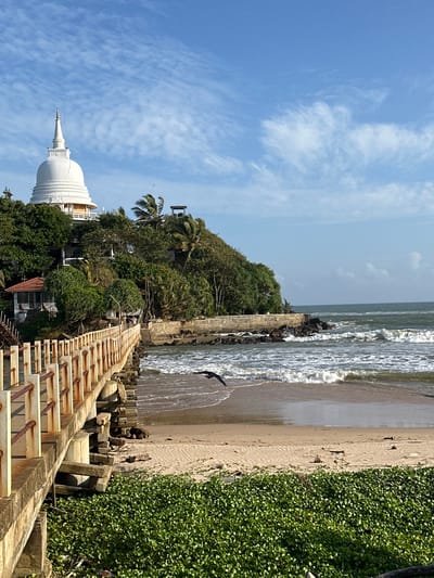 The image depicts the Japanese Peace Pagoda in Matara, Sri Lanka, situated on a hill overlooking the ocean. A concrete bridge with rusty railings extends from the left foreground towards the right, leading to the shore. The bridge is supported by concrete pillars, some of which show signs of disrepair. A sandy beach stretches along the coastline, with waves gently breaking on the shore. Lush green vegetation covers the foreground. The pagoda, a prominent white structure with a golden spire, is visible at the top of the hill, surrounded by dense trees. The sky is blue with scattered white clouds. A bird is captured mid-flight over the water, adding a dynamic element to the serene coastal scene. The overall impression is one of tranquility and natural beauty.
