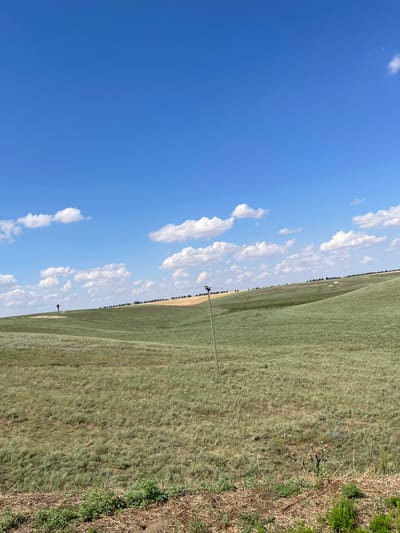 The image depicts a vast, undulating green landscape under a bright blue sky dotted with scattered white clouds. The terrain is covered in short, dry grass, with some areas appearing more yellow or brown, suggesting a cultivated field or a change in vegetation. In the mid-ground, a dark, solitary object stands on a small hill, possibly a marker or a piece of farm equipment. A telephone pole with wires is visible in the right mid-ground, with a few similar poles extending into the distance. The foreground shows a strip of denser, green vegetation and dry grass, indicating the edge of the field. The overall impression is one of a rural, open expanse.