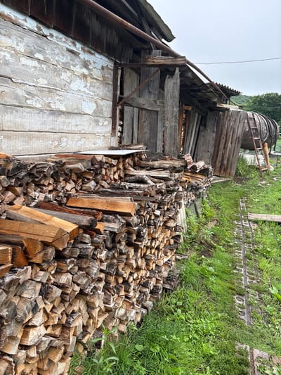 The image depicts an outdoor scene in Tikhovodnoe, Russia, focused on a weathered wooden structure and a large stack of firewood. The building, on the left, has wooden plank siding with peeling paint and a corrugated metal roof. A pipe runs along the top of the structure. To the right of the building, a substantial amount of split firewood is neatly stacked, reaching a significant height. Beyond the firewood, the scene transitions to a grassy area with some scattered vegetation. In the background, to the far right, a large cylindrical object, possibly a barrel or tank, is visible, with a wooden ladder leaning against it. The overall impression is one of rural storage and maintenance.