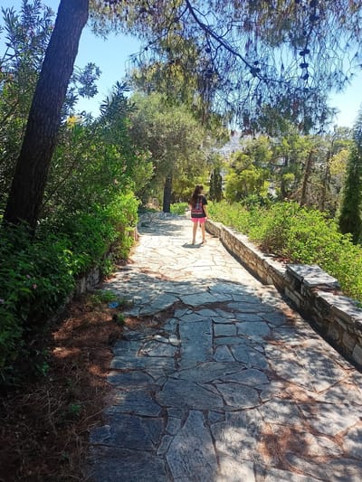 An upward, eye-level shot captures a young woman with long, dark hair, seen from behind, walking on a winding, stone-paved path within a park. She is wearing a black t-shirt with a graphic print and pink shorts. The path is bordered by lush green foliage and a low stone wall. Pine trees with visible cones and other deciduous trees cast dappled shadows across the path. In the distance, through the trees, hints of buildings suggest the presence of a town or city. The sky above is a clear, bright blue. The overall scene depicts a tranquil, sun-drenched moment in a natural setting, possibly within the Municipal Unit of Anthidon, Greece, given the Mediterranean vegetation and architectural hints.