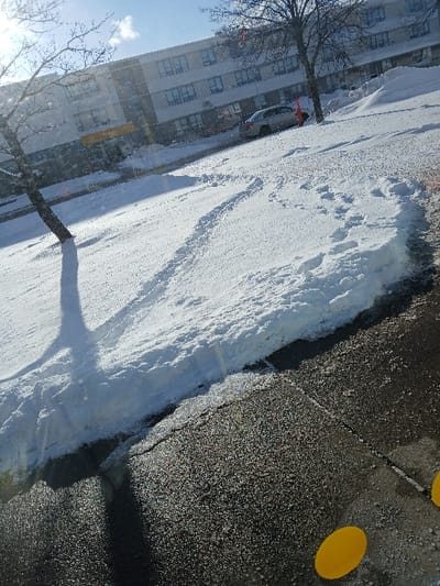 A winter scene shows a street covered in snow. Footprints and tire tracks mark the snow's surface. A tall building with many windows looms on the left. A bare tree stands in the foreground, its shadow stretching across the snow. The edge of the street reveals dark pavement and two yellow markers. The sky is pale blue, hinting at sunlight.