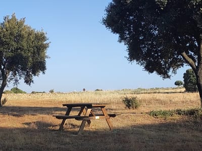 The image depicts an outdoor picnic area in Sobradillo, Spain, under a clear blue sky. In the foreground, a wooden picnic table and benches are situated on dry, golden grass. Two large trees, one on the left and another on the right, frame the scene, casting shadows on the ground. In the background, a low, rustic stone wall runs horizontally across the landscape, separating the picnic area from a field of dry grass and scattered bushes. Further in the distance, a few more trees and some faint structures are visible. A traffic sign with a red circle and diagonal bar is partially visible on a pole in the middle ground, suggesting a road or path nearby. The overall impression is one of a tranquil, natural setting.
