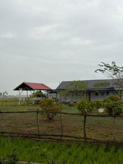 The image displays a rural landscape in Keudekarieng, Indonesia, under an overcast sky. In the foreground, a field of vibrant green rice paddies occupies the bottom portion of the frame. Immediately behind the paddies, a rustic fence composed of horizontal wooden logs and vertical posts spans the width of the scene. Beyond the fence, a cleared area of sparse grass and dirt forms a yard.

Within this yard, two main structures are visible. To the left, an elevated, open-sided pavilion with a red corrugated metal roof is supported by light-colored wooden posts; some foliage is present within its confines. To the right of the pavilion, a single-story building with light-colored walls and a dark gray corrugated metal roof stands. A dark netting or shade cloth is strung across the front facade of this building.

Various green bushes and small trees are scattered throughout the yard. A white planter pot is situated near the right building. A circular, wheel-like object, possibly a cart wheel, leans against the right building, partially obscured by a small tree. In the distant background, to the left, additional green fields and several palm trees are visible, merging into a hazy horizon. No individuals or explicit actions are depicted.
