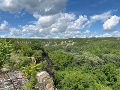 The image depicts a lush, green valley under a bright blue sky with scattered white clouds. In the foreground, there are large, textured rocks covered in sparse vegetation. To the left and center, a steep cliff face is visible, dropping into the valley. The valley itself is densely covered with a variety of green trees, creating a rich, undulating landscape. In the distance, the valley walls rise to form a plateau, also covered in green vegetation. The overall impression is one of a natural, wild landscape, likely a canyon or gorge, bathed in sunlight. The location is identified as being in the city of Ivanovo, Bulgaria. There are no people or specific man-made objects visible in the scene besides a faint hint of a path or railing on the left side of the image, near the foreground rocks.
