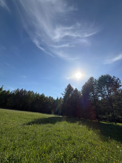 The image depicts a sunny day in a park-like setting. A grassy field, dotted with yellow flowers, occupies the right portion of the frame. A line of trees casts shadows onto the grass, dividing the scene. The sky is a clear blue with wispy clouds, and the sun shines brightly, positioned above the trees. The image's perspective suggests the photo was taken at an angle. There is no indication that the location is the city of Oreshniki, Russia. No people are visible.