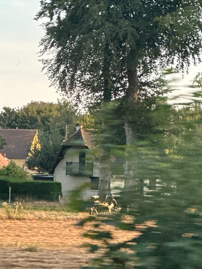 In Trouville-Alliquerville, France, a rural scene is captured with a focus on a residential building and its surroundings. The building features a light-colored facade, a dark roof, and a small balcony with a railing. Adjacent to it, another building with a brown tiled roof is partially visible. The environment is rich with vegetation, including a large tree with dense foliage, a neatly trimmed hedge, and other trees and bushes. In the foreground, a dry field of grass and soil suggests a rural or agricultural setting. The image also depicts what appear to be two cows grazing or standing in the field near the buildings. The overall impression is one of a peaceful countryside dwelling.