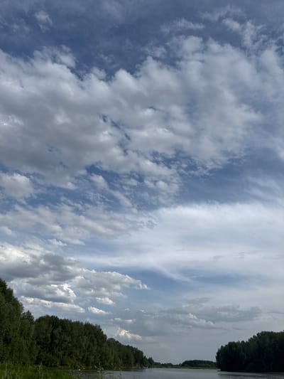 The image displays a view of a sky with scattered clouds and a body of water on the right side. The sky is a mix of blue and white, with fluffy white clouds interspersed with thinner, wispy clouds. The clouds suggest a partly cloudy day. To the right of the sky, a dense line of dark green trees runs along the edge of what appears to be a river or lake. The water is calm and reflects the sky. The overall scene evokes a sense of natural tranquility. The time of day is likely daytime, given the brightness of the sky and the shadows cast by the trees. No people, objects, or text are clearly visible in the image. The location context is Павлодарское, Kazakhstan.