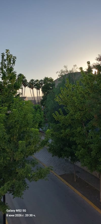 The image displays an urban landscape with lush green trees in the foreground and midground, with a clear, pale blue sky overhead. In the distance, a cluster of tall palm trees stands against a building, with the golden glow of sunset visible behind them. A paved street runs through the scene, bordered by a yellow line, and a sidewalk is visible. The lower left corner of the image contains overlaid text indicating "Galaxy M52 5G" and the date "8 юни 2026 г. 20:30 ч.", suggesting the photo was taken on June 8, 2026, at 8:30 PM. The scene appears peaceful and is likely an exterior shot taken from an elevated perspective, overlooking a street and surrounding foliage. The location is stated to be the city of Canals, Spain.