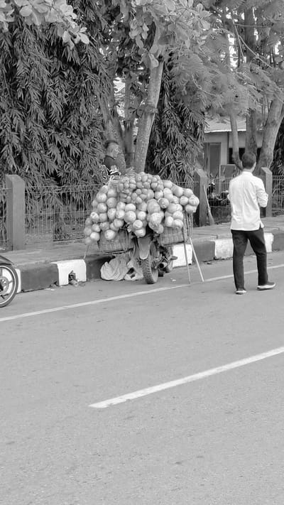 This is a black and white, low-angle, medium shot of a man standing next to a cart filled with fruits. The man is wearing a white long-sleeved shirt and dark pants, with white shoes. He is facing away from the camera, looking towards the right. The cart has two baskets overflowing with round fruits, possibly oranges or pomelos, which are stacked high. The cart has a single wheel and a frame made of metal rods. Next to the cart, there are some plastic bags and a crumpled white bag. Behind the cart and to the left, there are trees with dense foliage and branches. A grey asphalt road with a white line runs diagonally from the bottom right to the top right of the image. The scene appears to be outdoors, possibly on a street or roadside, given the presence of the road and the pavement or curb with a white painted stripe. The lighting suggests it might be daytime, perhaps overcast, as there are no strong shadows. The image seems to be taken in Julikeude Dua, Indonesia, as indicated by the location context. There is no visible text in the image.