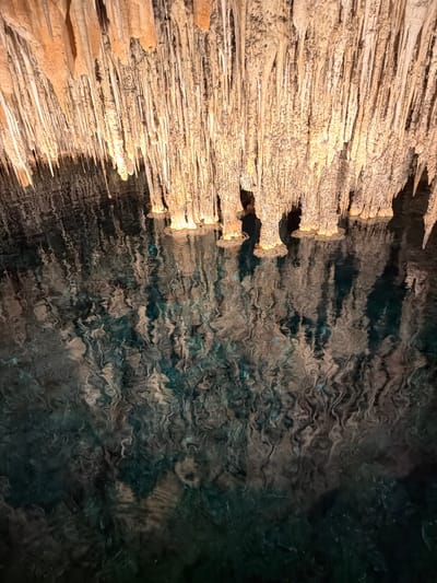 The image depicts the interior of the Caves of Drach, located in Manacor, Spain. On the left side, a dense formation of stalactites hangs from the cave ceiling. The stalactites are elongated, pale brown in color, and densely packed. Adjacent to the stalactites is a body of water, the textures of which are visible due to the lighting. The water has a dark, rippled surface, reflecting the cave ceiling and stalactites. The overall lighting in the scene is dim, emphasizing the textures and shapes of the natural formations.