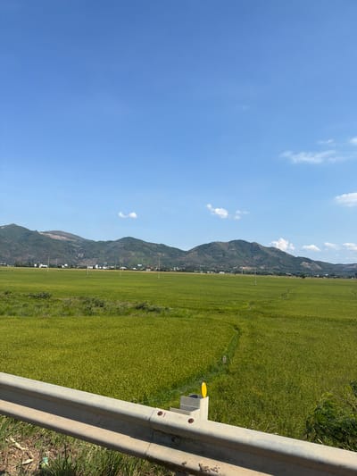 The image shows a rural scene near Diên Lạc, Vietnam. A clear blue sky with scattered clouds is visible. A mountain range runs across the middle ground of the image. At the foot of the mountains, a long stretch of rice paddies extends towards the right side of the frame. A metal guardrail is prominent in the foreground, running along the right edge. A yellow marker is attached to the guardrail. Tall grass grows next to the guardrail.