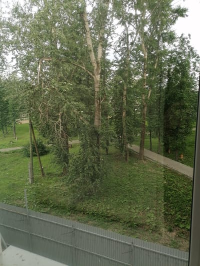 The image depicts a view from a window looking out onto a park-like area with trees, a pathway, and a metal fence. The trees are tall and leafy, with some appearing to be birch trees due to their light-colored bark. A pathway, possibly made of concrete or asphalt, curves through the grassy area. In the foreground, a corrugated metal fence with barbed wire runs horizontally across the bottom of the frame. The overall scene suggests an urban or suburban park setting. The image is from Комсомольский, Russia, suggesting this is a view of a public or residential area within that city. There are no people or discernible actions taking place in the image.