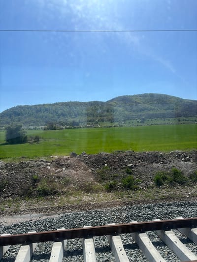 The image captures a scenic view from what appears to be a moving train, looking out towards a rural landscape. In the foreground, on the right side of the frame, are train tracks with concrete sleepers embedded in grey gravel ballast. Adjacent to the tracks is a strip of rough, stony ground with patches of green grass and small plants.
Beyond this immediate area, a vast, vivid green field stretches across the middle ground, indicating agricultural land or pasture. In the background, a substantial mountain range rises, densely covered with green trees and foliage, extending across the horizon. The sky above is a clear, bright blue, with only a few faint, wispy clouds visible. A thin, almost vertical line, possibly a wire or a reflection on the train window, is visible on the left side of the sky.
The scene is brightly lit by natural sunlight, suggesting it is daytime, likely morning or afternoon, given the clear weather. The overall impression is one of peaceful natural scenery viewed during a journey. The location context provided is Stambolovo, Bulgaria, which aligns with the mountainous and agricultural landscape depicted. There is no visible text in the image.
