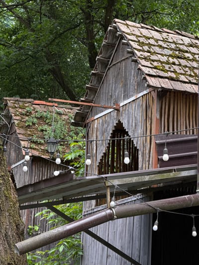 The image depicts a rustic wooden structure with tiled roofs, partially overgrown with moss and vegetation. Multiple bare light bulbs are strung along wires, hanging in front of the structures. A large tree trunk is visible on the left side of the frame, covered in moss. The scene appears to be set in an outdoor environment with dense foliage in the background. The structures are made of weathered wood and have a somewhat dilapidated appearance, suggesting they may be old or are in a state of disrepair. There are no people visible in the image. The lighting is overcast, contributing to the muted color palette of the scene.