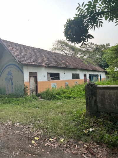 An abandoned building with a tiled roof and white and orange walls is surrounded by overgrown grass and trees. The building has several windows, some broken, and a single wooden door. There is a faded mural of a palm tree on the left side of the building. In the foreground, a dirt path is covered with fallen leaves and scattered trash. A low, concrete structure stands to the right of the building. The scene appears to be in Besuki, Indonesia, judging by the presence of a small aircraft in the sky which is a common sight in this Indonesian city.