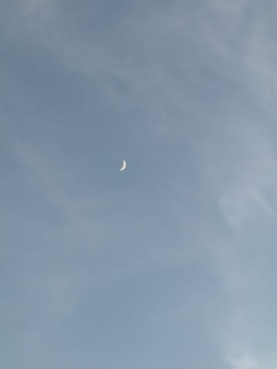 The image shows a crescent moon in a hazy, pale blue sky. There are wispy clouds visible, and the moon is a bright sliver against the soft background. The perspective suggests the photo was taken from ground level looking upwards. There are no identifiable landmarks or features that would indicate a specific location within Cardwell, United States. The image is solely focused on the celestial body and the sky.