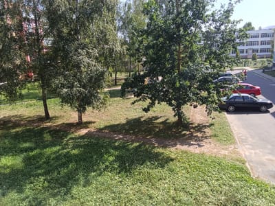 The image depicts a sunny outdoor scene in Drahichyn, Belarus. A paved road runs along the right side of the frame, with several parked cars, including a dark sedan and a red sedan. Adjacent to the road is a sidewalk and a patch of grass. Further to the left, a grassy area with scattered trees occupies the majority of the foreground. In the background, a building with multiple windows and a white facade is visible. The overall environment suggests a residential or urban area with green spaces.