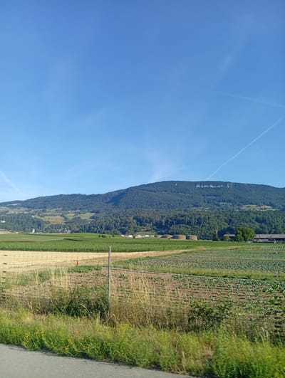 This image depicts a rural landscape under a clear blue sky with scattered contrails. The foreground shows a paved road bordering a grassy verge with wildflowers. Beyond the road, a wire fence separates the verge from agricultural fields. These fields exhibit various stages of cultivation, with one section featuring rows of green plants, possibly a vegetable crop like cabbage or broccoli, and another showing dry, golden stalks, likely harvested grain or hay. Further back, a dense green field, possibly corn, stretches towards the foothills of a large, tree-covered mountain. The mountain's slopes are dotted with trees and intermittent clearings, and a small village with scattered houses and a church spire is visible nestled in the valley. Two large, cylindrical silos stand in the middle ground, adjacent to a building complex. The overall scene is tranquil and agricultural, characteristic of the Swiss countryside. The image appears to have been taken from a moving vehicle, as indicated by the slight motion blur in the foreground. The location is identified as Oberbipp, Switzerland.