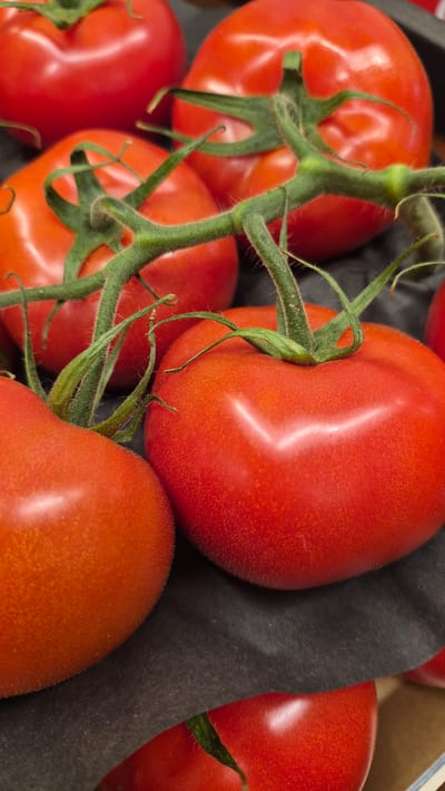 This media file features a close-up, overhead view of a cluster of ripe, red tomatoes on the vine. The tomatoes are round to slightly oval in shape, with smooth, glossy skin. Several of the tomatoes are attached to a central green stem, which is covered in fine, fuzzy hairs. The vine itself branches out, connecting the various fruits. In the background, a dark, textured material, possibly packaging or a cloth, is visible, along with hints of a light-colored box. The lighting suggests an indoor setting, highlighting the vibrant red of the tomatoes and the natural curves of their form. The scene is still, focusing on the raw produce and their natural presentation. No people, text, or specific environmental cues like time of day or weather are present, but the focus is entirely on the fresh, agricultural subject matter.