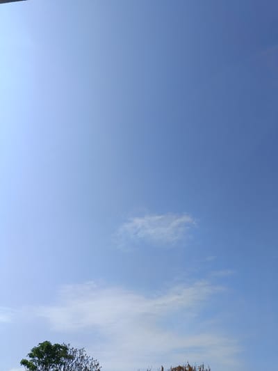 The image shows a bright blue sky with scattered wispy clouds. In the lower portion of the image, the tops of trees are visible, with green foliage on the left and sparser, brown foliage on the right. The scene depicts an outdoor environment with clear sky conditions. There are no people or specific identifiable landmarks of Berdiansk, Ukraine visible.