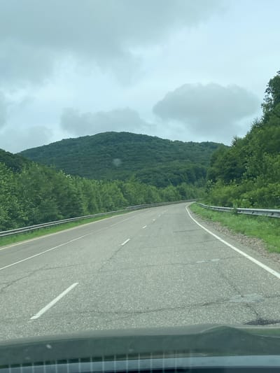 The image depicts a two-lane asphalt road winding through a heavily wooded, hilly landscape under an overcast sky. The road has white lane markings and is bordered by guardrails and grassy shoulders. The trees are lush and green, indicating a temperate climate. In the distance, a large, tree-covered hill dominates the horizon. The foreground shows the hood and windshield of a vehicle, suggesting the photo was taken from inside a car. There are no people visible in the image. The scene is likely in a rural or natural area, possibly a highway or scenic route. The location is identified as being in the city of Filippovka, Russia.