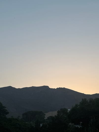 The image captures a serene dusk scene over Torremolinos, Spain. The sky transitions from a pale blue at the top to a soft, peachy-orange hue near the horizon, indicating the setting sun. Two small, dark specks, possibly birds, are visible in the upper portion of the sky.

Dominating the middle ground is the silhouette of a dark, rugged mountain range, its peaks and ridges sharply defined against the lighter sky. The mountains appear densely forested, with varying textures suggesting uneven terrain.

In the foreground, the bottom portion of the image is filled with the dark silhouettes of lush, dense trees. Their foliage is thick and varied, creating a rich, dark band that contrasts with the lighter sky and mountains. Some faint, vertical lines that could be streetlights or poles are visible amongst the trees in the mid-ground, hinting at human presence or infrastructure. A portion of a light-colored building or structure can be seen behind the trees, near the right edge of the image. The overall atmosphere is peaceful and tranquil, typical of an evening landscape in this coastal Spanish town.
