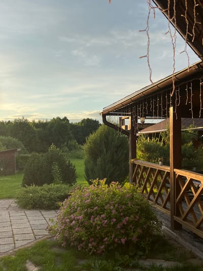 The image shows a view from a wooden gazebo with a sloped roof, decorated with hanging string lights, overlooking a lush green landscape. The gazebo features a diamond-patterned wooden railing. In the foreground, a flowering bush with small pink blossoms is situated next to a paved walkway made of square stone tiles, interspersed with patches of grass. Beyond the walkway, various evergreen bushes and trees are visible, including a conical conifer. In the distance, a dense forest forms a dark green backdrop against a pale blue sky with scattered clouds, illuminated by the soft light of what appears to be either early morning or late afternoon. A small wooden shed is partially visible on the left side of the frame. The scene is set in the city of Bol'shaya Shishovka, Russia.