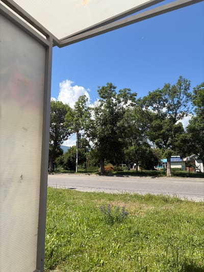 The image, taken at a bus stop in Gara Elin Pelin, Bulgaria, shows a daytime view of a street lined with trees. In the foreground, the translucent panel and metal frame of the bus stop shelter are visible on the left. The ground in front of the shelter is covered with green grass and small purple wildflowers. A paved road runs horizontally across the middle of the frame, with a sidewalk and a line of mature trees bordering the opposite side. Beyond the trees, a low-rise building with a blue facade and a Coca-Cola advertisement is visible. The sky is a clear blue with scattered white clouds, and a crescent moon is faintly visible. There are no people or vehicles in the scene.
