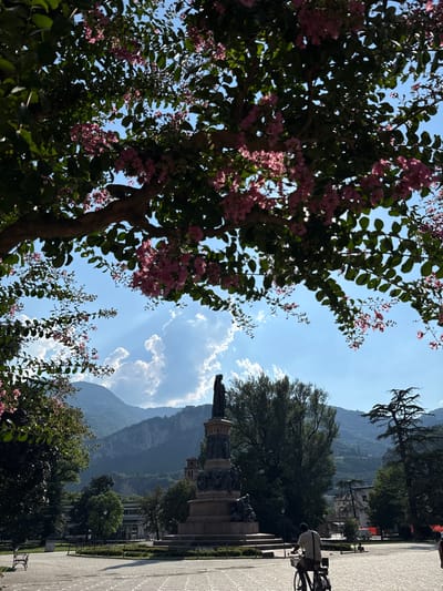 The media file shows a street scene in Trento, Italy, on a sunny day. In the foreground, a tree with pink flowers is in bloom. In the background, there is a monument with statues, a paved walkway, and a person riding a bicycle. Mountains can be seen in the distance. The sky is blue with some white clouds. The overall mood is peaceful and scenic, with a hint of urban life.