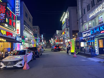 This is a nighttime photograph of a bustling street in Ansan, South Korea. The scene is illuminated by a vibrant array of neon signs advertising various businesses, including "대포집" (daepojip - a type of pub), "맥주" (maekju - beer), "노래연습" (noraeyeonseup - karaoke), and "마사지" (masaji - massage). The street is lined with buildings featuring commercial establishments on the ground floor, with apartments or offices above.

Several vehicles are visible on the street, including a white Mercedes-Benz sedan parked prominently in the foreground with the license plate "399수 8889." Behind it, a black SUV is also parked. A few other cars and motorcycles are seen further down the street, suggesting moderate traffic.

A few people are present, including a woman in a black dress walking on the sidewalk and two individuals standing near a shop entrance. The overall atmosphere is lively and commercial, typical of a South Korean entertainment district at night. The time of day is clearly night, indicated by the dark sky and the prominent use of artificial lighting from the signs. The weather appears to be clear, as there are no visible signs of rain or fog. The prominent Korean text on the signs indicates the location is in Korea.