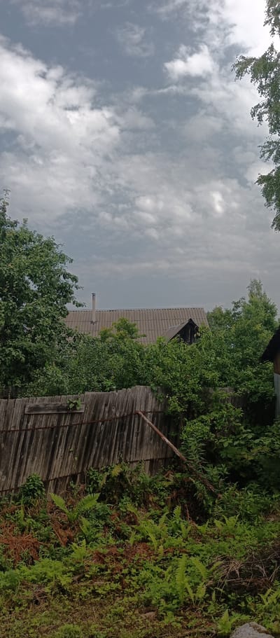 The image depicts an outdoor scene with a wooden fence in the foreground, overgrown with green ferns and other vegetation. Behind the fence, there is a grey, corrugated roof of a building, with a chimney visible. Dense green foliage surrounds the building, with the tops of trees extending towards the sky. The sky is overcast with a mix of grey and white clouds. The scene appears to be located in a rural or semi-rural area, possibly a residential backyard in Krasnomaysky, Russia, given the style of the roof and the presence of surrounding vegetation. There are no people or animals visible in the image.